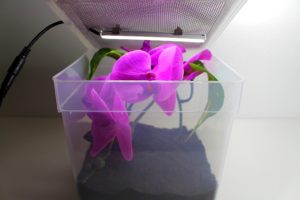 Kit Terrarium Premium avec barre LED incluse