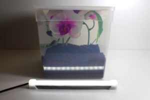 Kit Terrarium Premium avec barre LED mobile