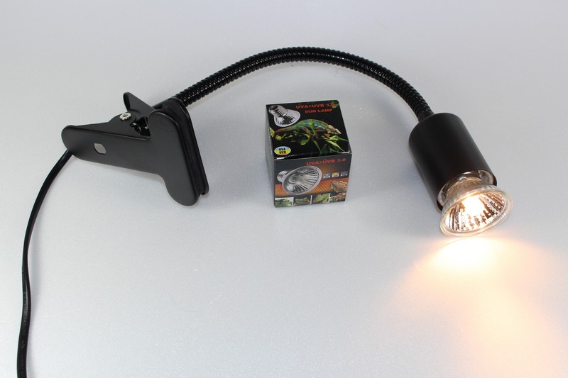 Lampe à pince à réflecteur OUTLET avec couvercle de protection en fil et  raccord en céramique