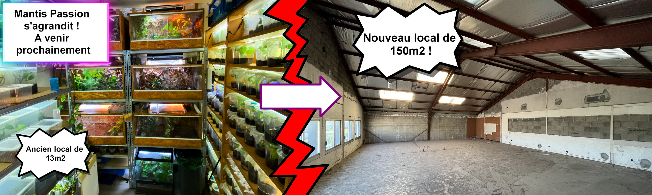 annonce nouveau local