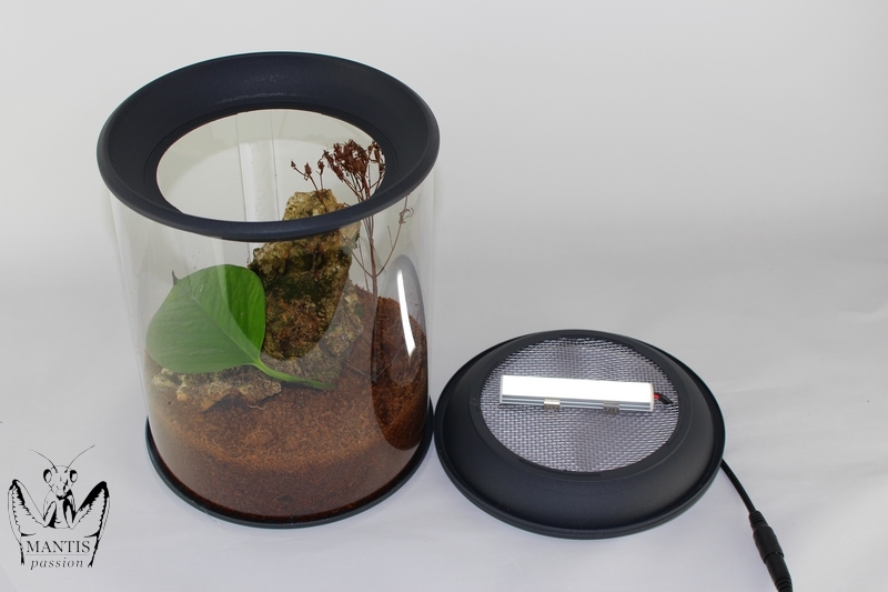 Terrarium rond pour insectes