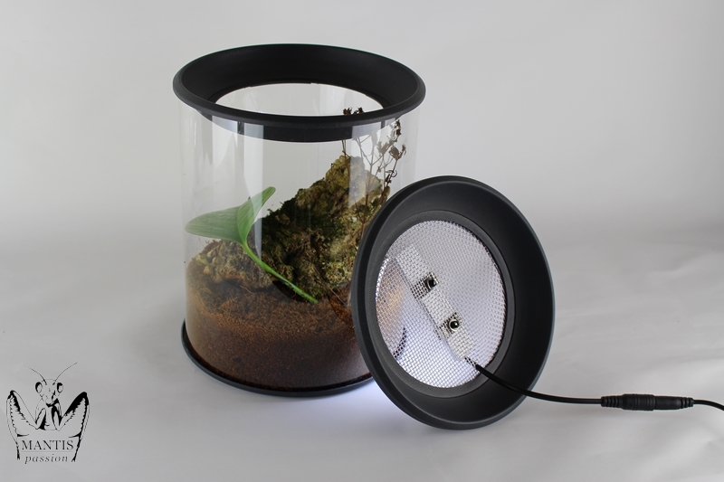 Terrarium rond pour insectes