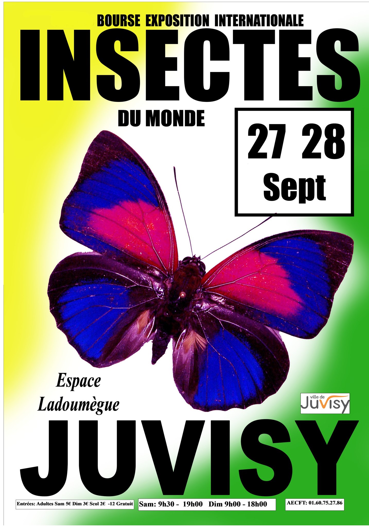 Juvisy-insectes-2025